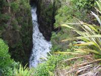 Albums/20060200-New Zealand 2006/20060313-Catlins/53